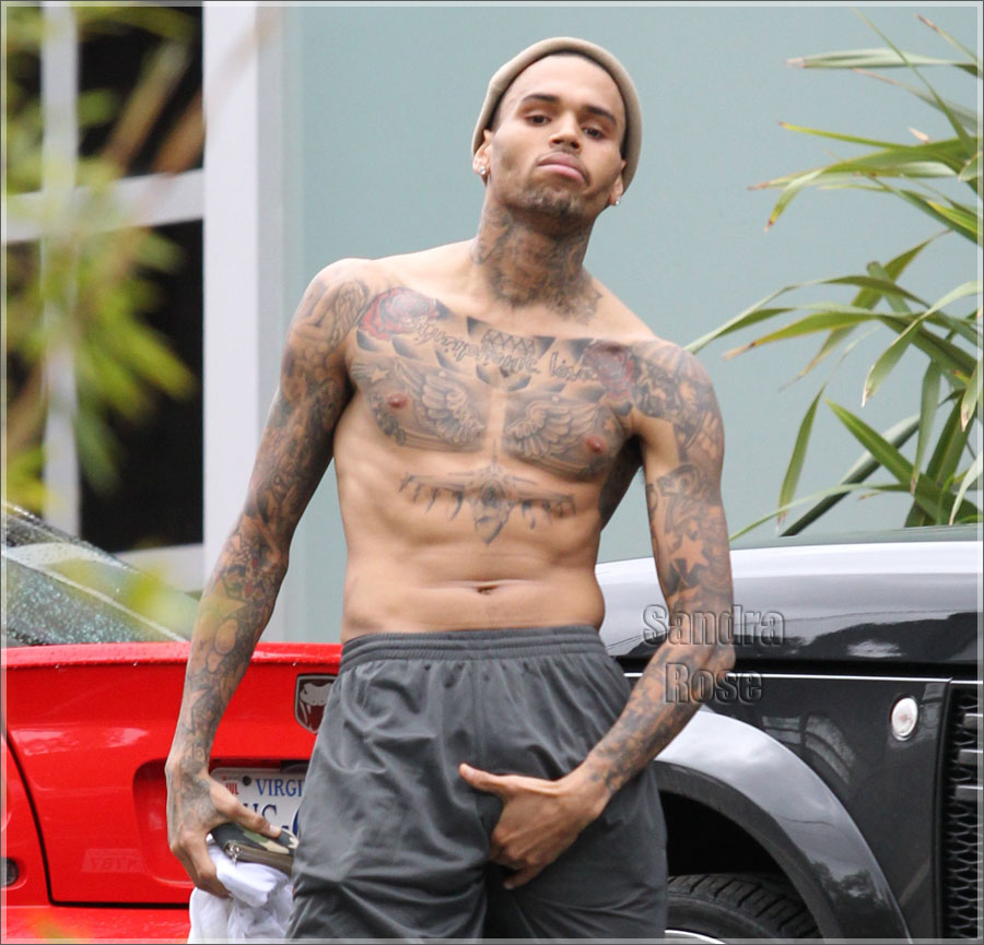 chris-brown-malibu-x17